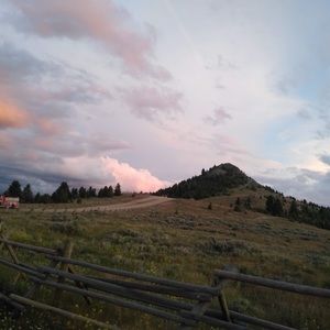 Meet your Posher, Annie